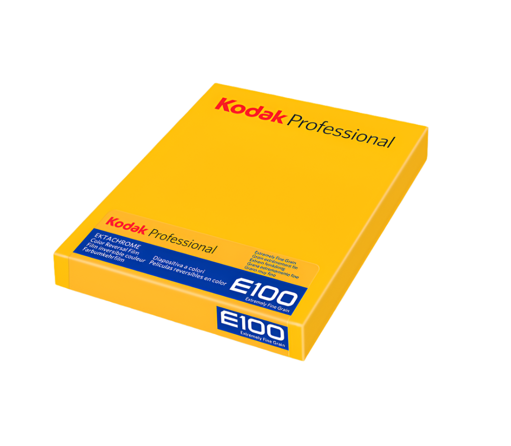 Kodak Ektachrome E100 Sheet Film 4x5 (10 Sheets) Essential Photo Supply