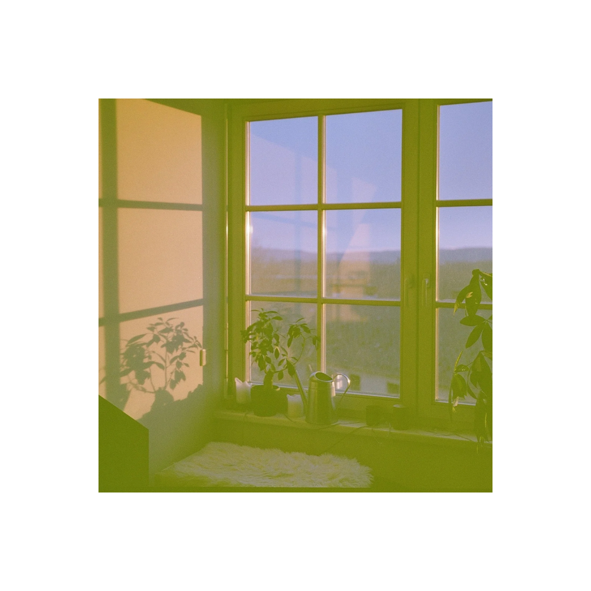A sunlit interior corner with a large window, green-tinted light, several potted plants on the sill, and a small white rug on the floor.