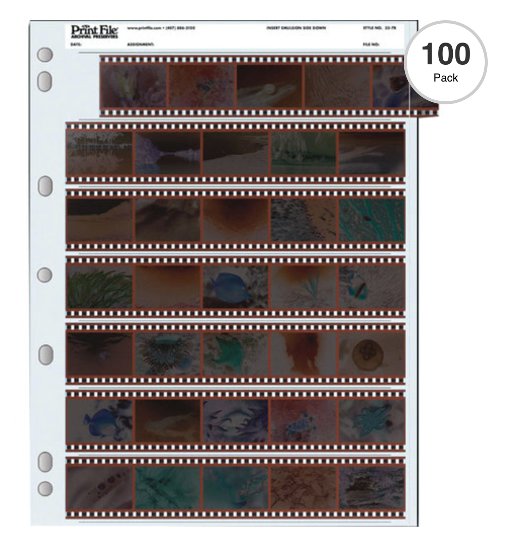 Print File 35-7B Archival Storage Page for 35mm Negatives (100-Pack)