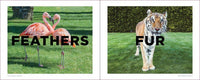 Two images side by side: one of flamingos with 'Feathers' text, the other of a tiger with 'Fur' text.