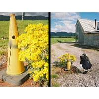 Yellow flower bush next to a yellow traffic cone with a rural landscape in the background.