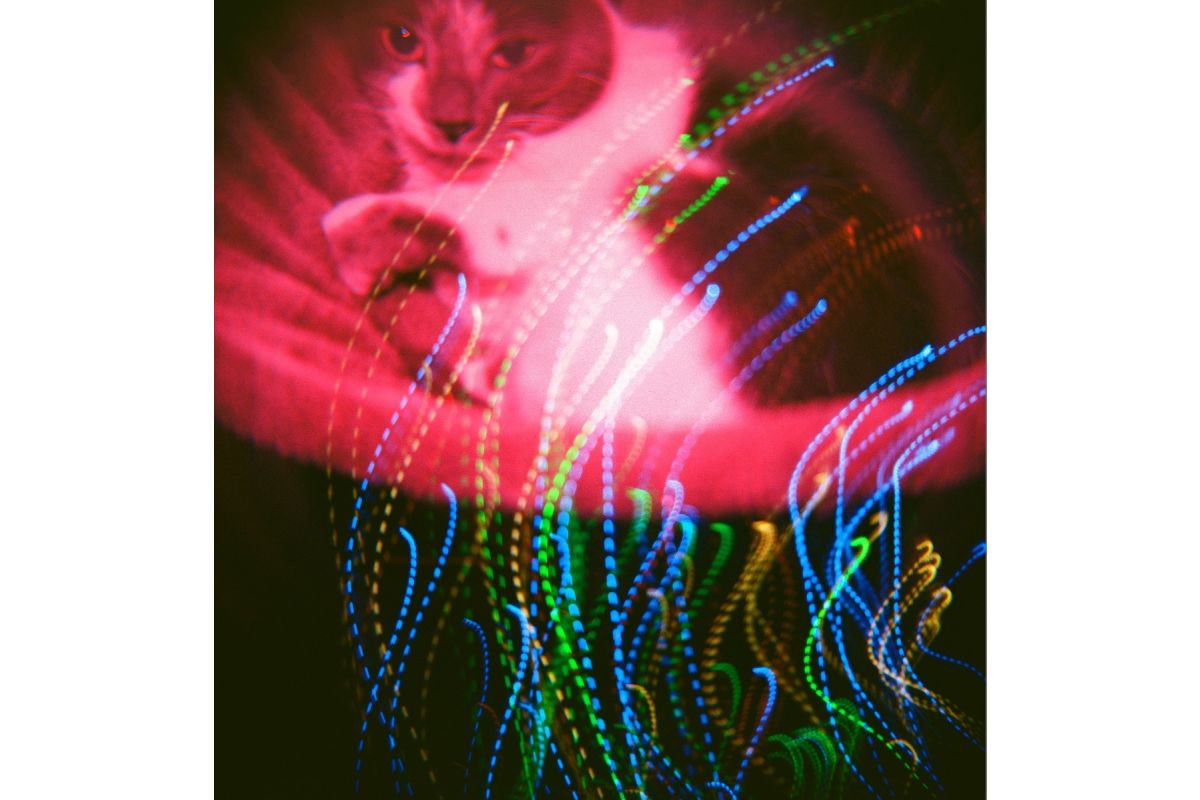 Lomography Diana F+ Camera and Flash - CMYK Edition