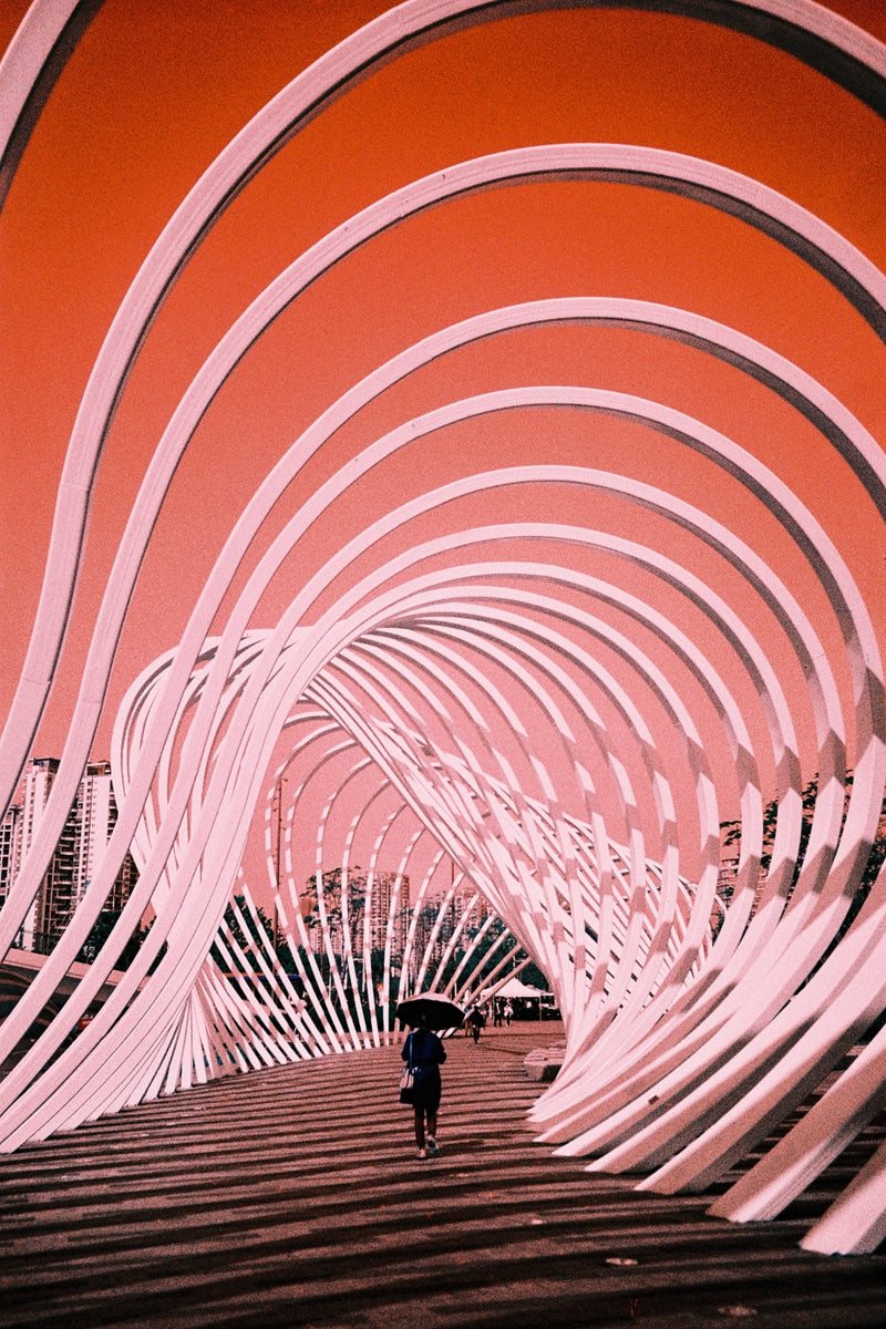 Lomography Analog New Trio 3 pack 35mm film