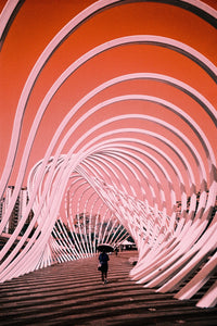 Lomography Analog New Trio 3 pack 35mm film