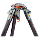 Tripod with a detailed view of the head and legs on a white background