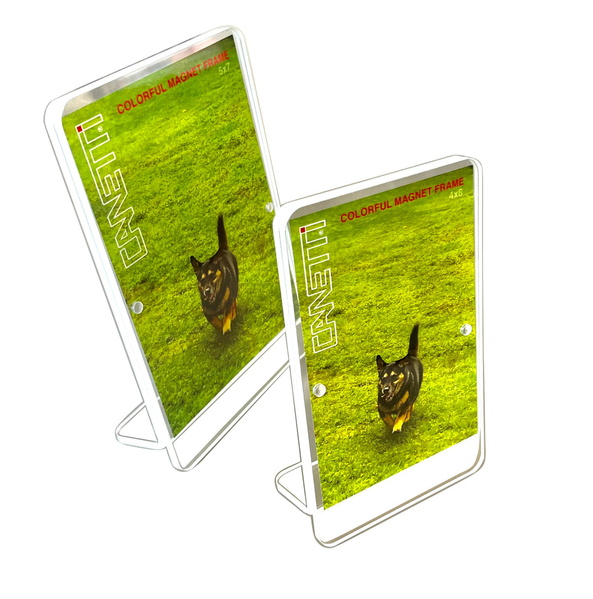 Colorful Acrylic Magnet Frame 4"x6" - 8 Colors