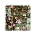 Vibrant pink flowers climbing over a weathered, vintage metal mailbox with cinematic color and fine grain texture.