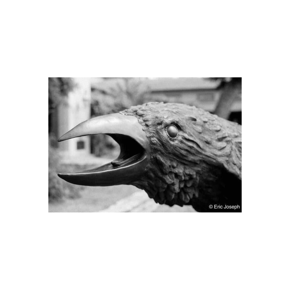 Close-up of a bird-like creature with an open mouth sculpture
