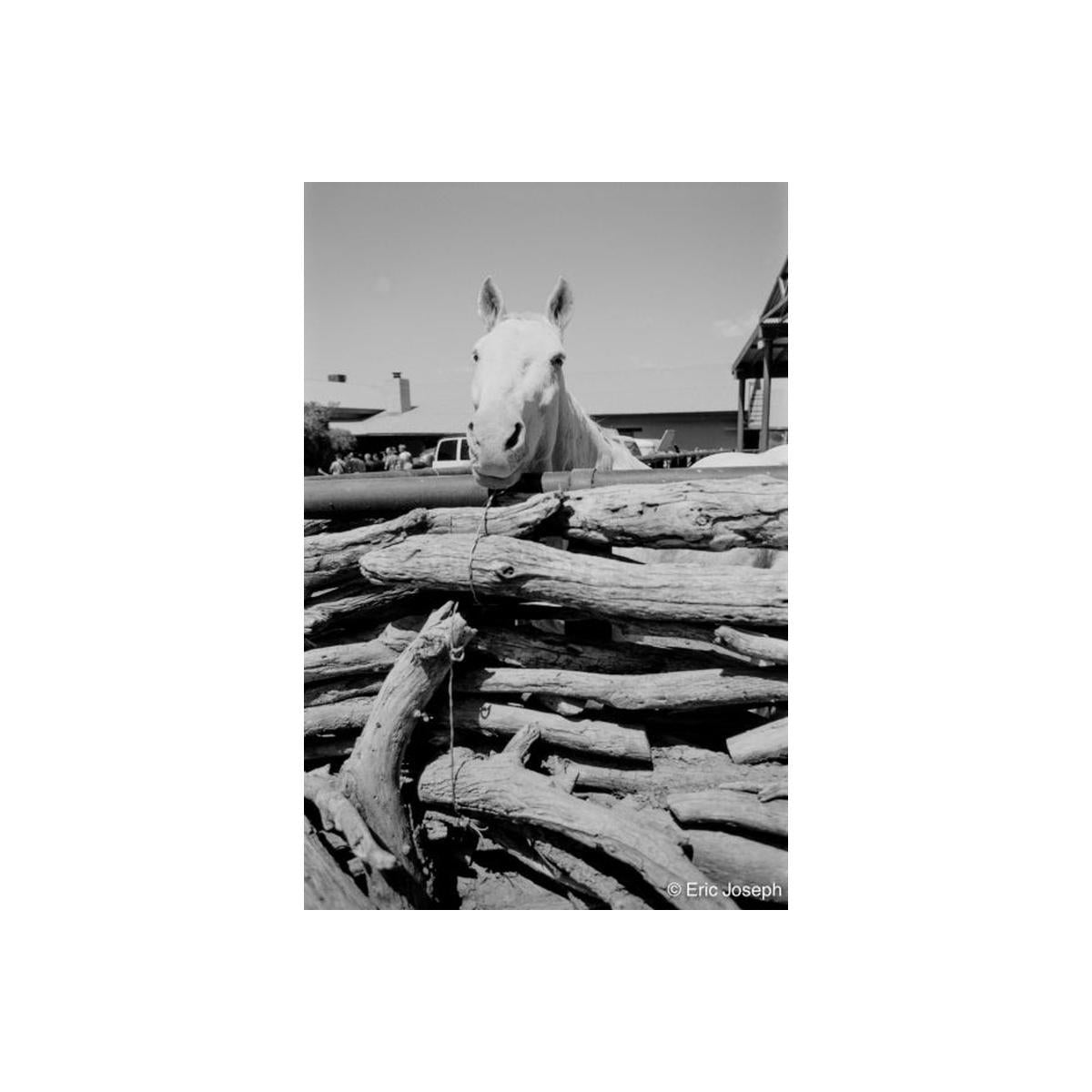 Black and white photograph of a white horse looking over a pile of logs, with farm buildings and people in the background. A copyright watermark for Eric Joseph is visible in the bottom right corner.