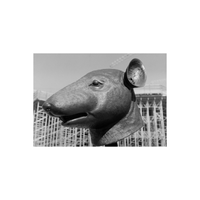Black and white close-up of a sculpted rat head statue against a background of construction scaffolding.