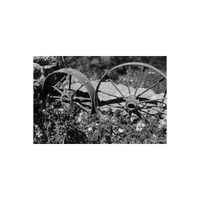 Black and white photograph of rusted, metal wagon wheels with bushes around them and Eric Joseph attributed in bottom right corner