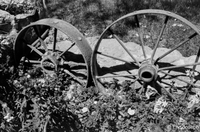 Black and white photograph of rusted, metal wagon wheels with bushes around them and Eric Joseph attributed in bottom right corner