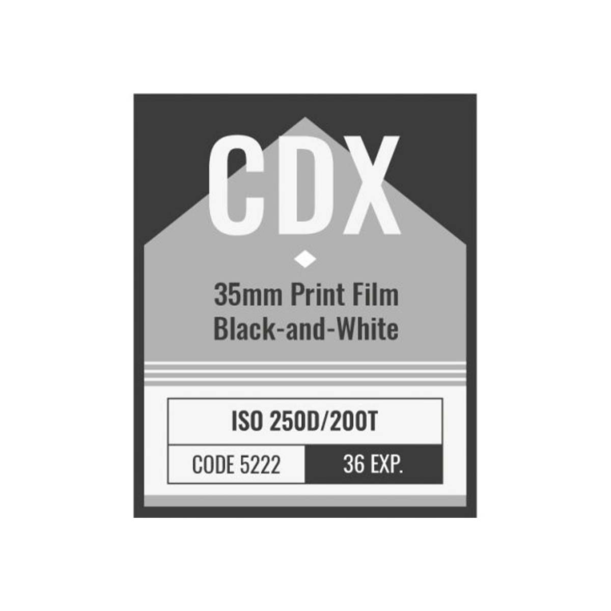 CDX 250 ISO, B&W 35mm Film, 36 exp