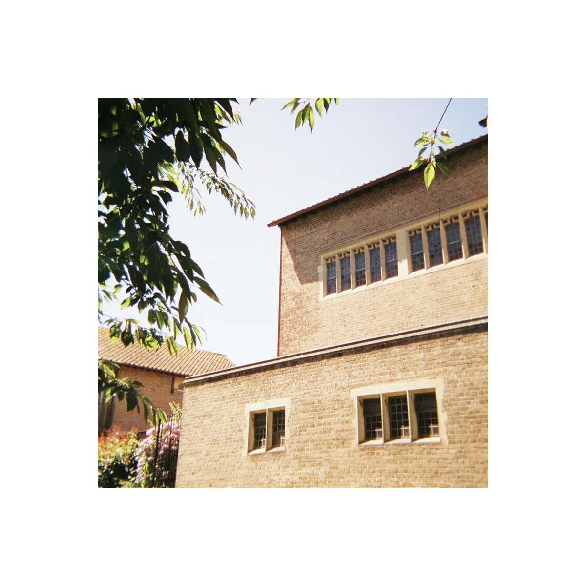 Vivid 35mm film shot of a brick building with stone-framed windows, captured with sharp detail and natural contrast.