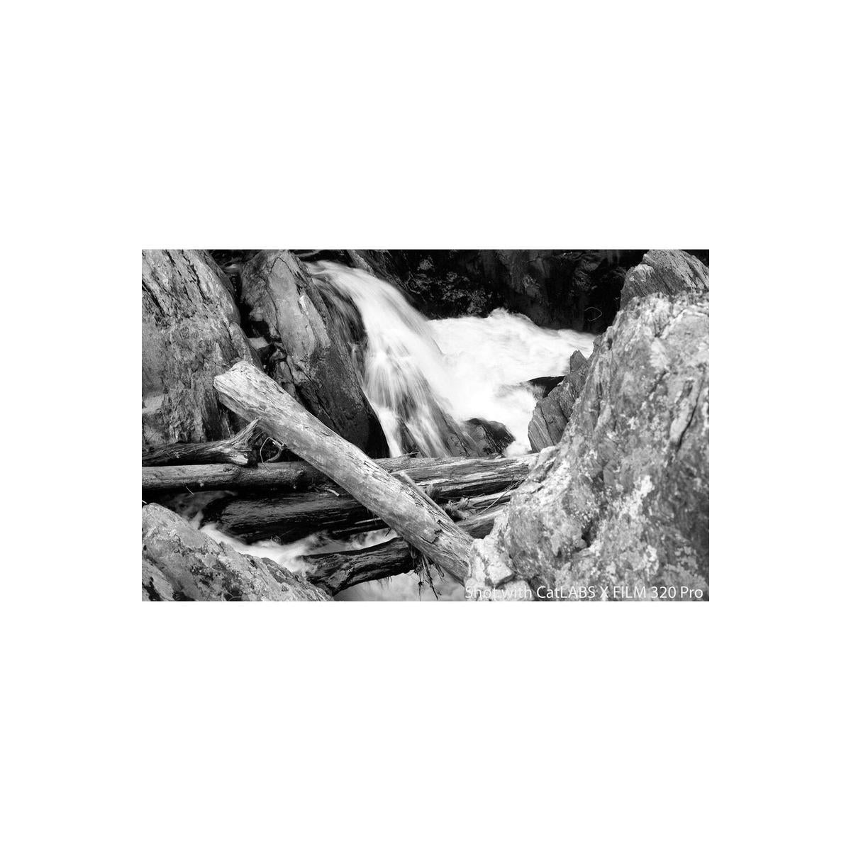 Black and white landscape shot of a rocky stream with fallen logs, captured on CatLABS X 320 Pro 120 film.