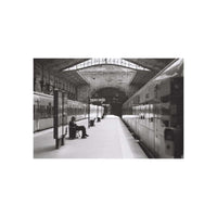 A black and white photograph of a train station platform, showing two trains at the tracks, a seated person on a bench, and an arched station roof overhead.