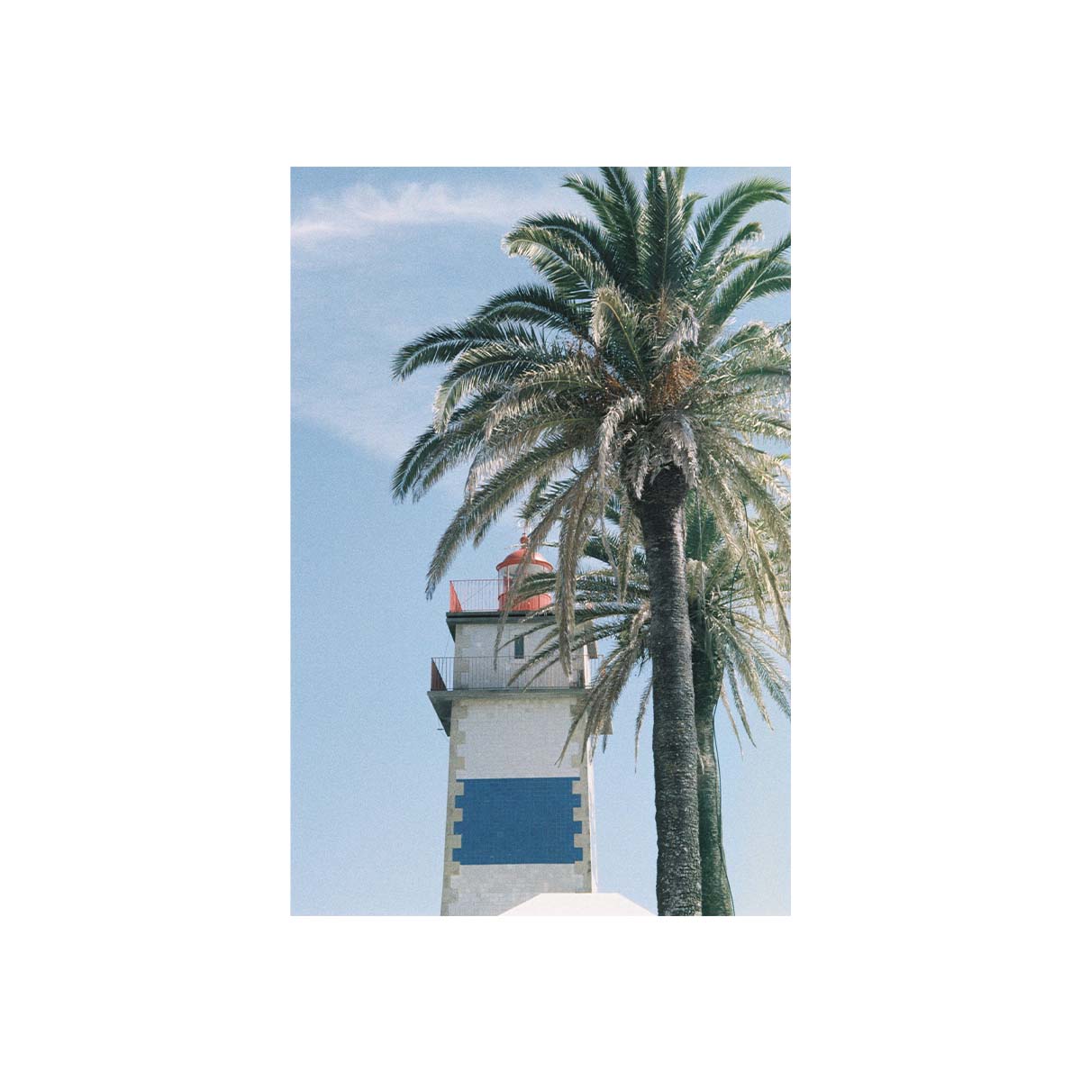 A vertical photographic print featuring a tall palm tree beside a white lighthouse with a blue panel, set against a pale blue sky, centered on a white background.