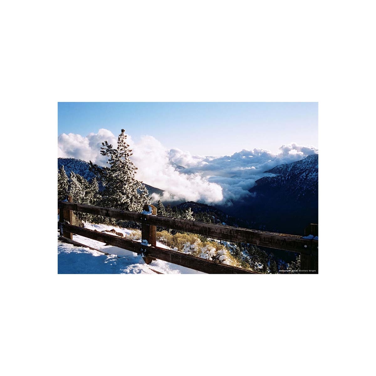 CineStill 50Daylight ISO, Color 35mm Film, 36 exp