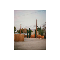 A scenic photograph of a quiet residential street featuring wooden fences, tall dark cypress trees, utility poles with overhead wires, and a light-colored gravel ground under a pale sky.