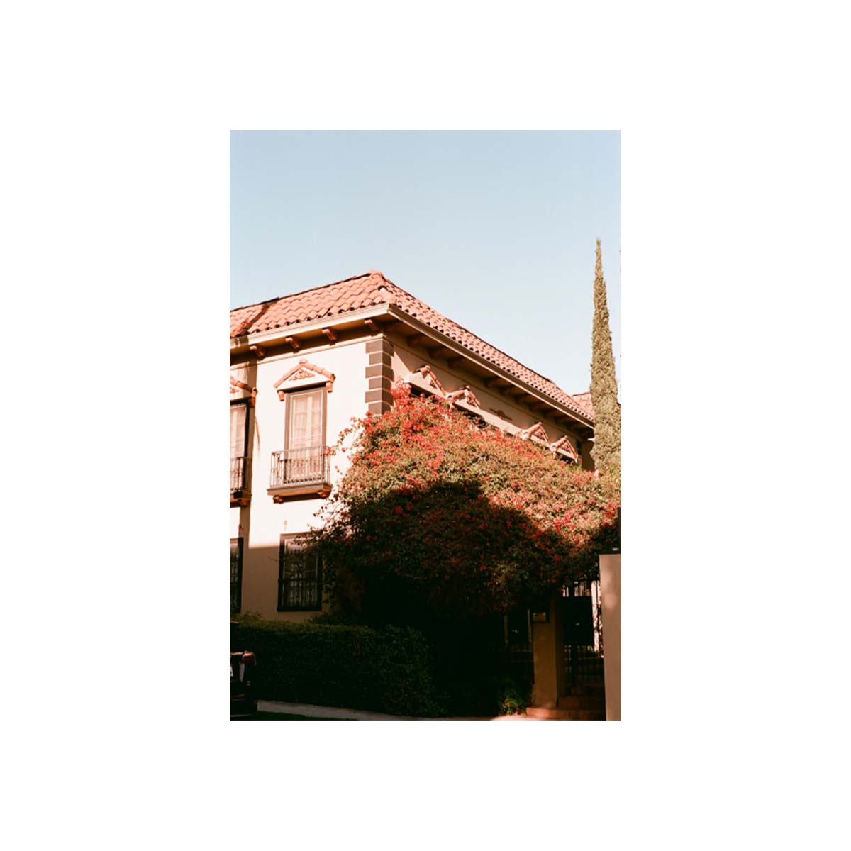 Mediterranean-style house with red tile roof and blooming bougainvillea, captured on FLIC Film Elektra 100 color negative film.