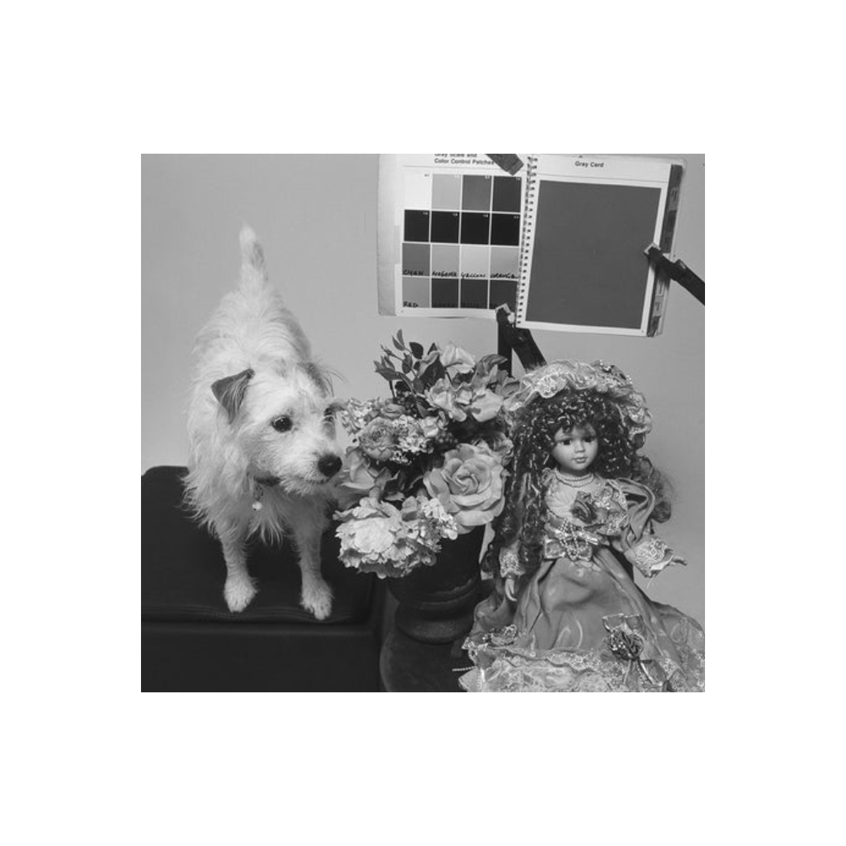 Black and white test shot of a small dog, floral arrangement, and vintage doll with a color control patch card.