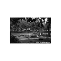 Black and white landscape shot of a park pond with trees, captured on FPP Jekyll/Hyde 100 ISO 35mm film.