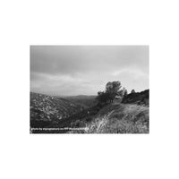 Black and white landscape photograph of rolling hills and trees captured on FPP Mummy 400 ISO 120 film.