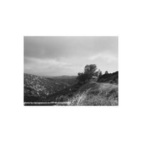 Black and white photo by Greg Tamura of a countryside with hills and trees and a grey sky.