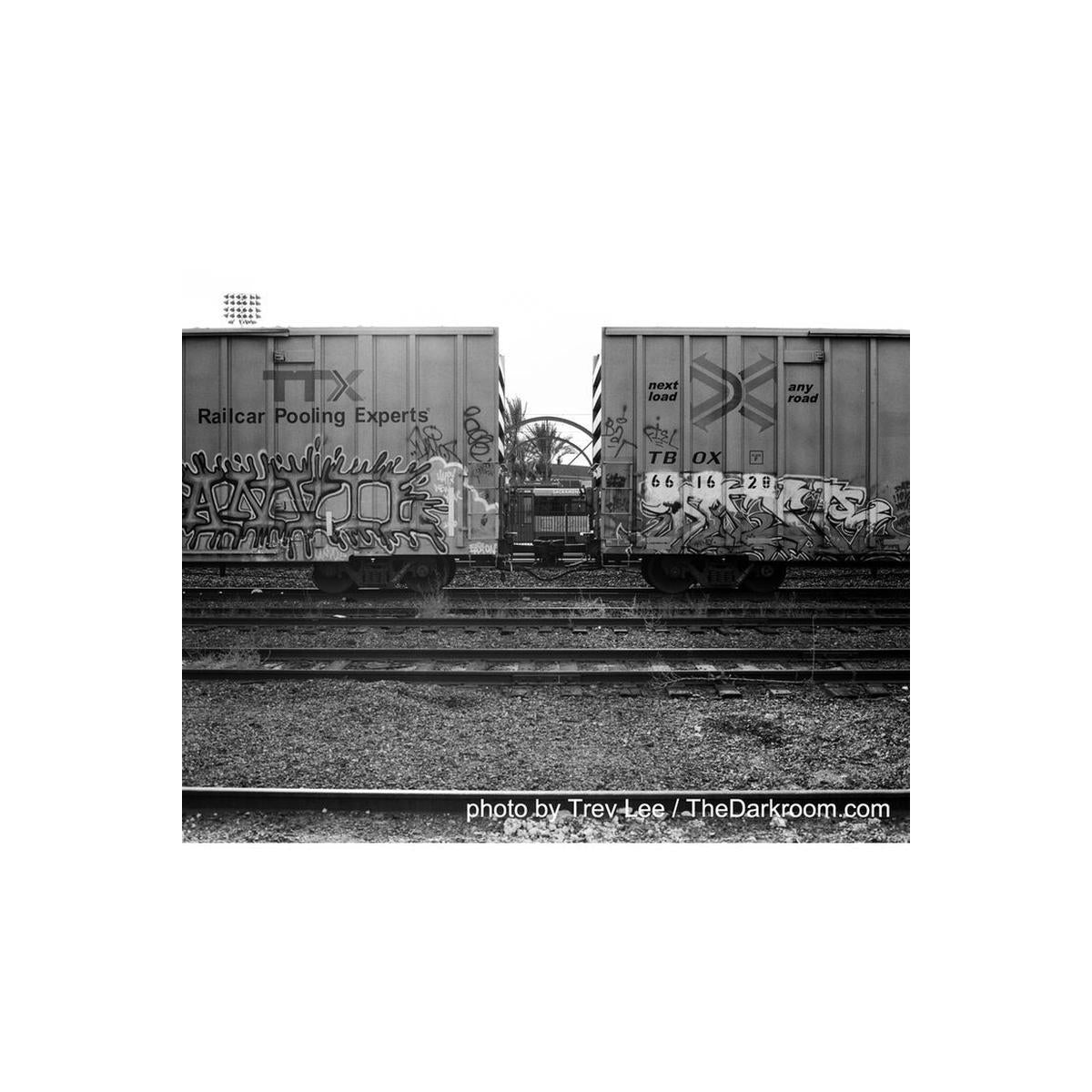 Black and white medium format shot of graffiti-covered freight train cars on tracks, featuring high contrast and grain.