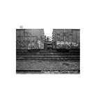 Black and white medium format shot of graffiti-covered freight train cars on tracks, featuring high contrast and grain.