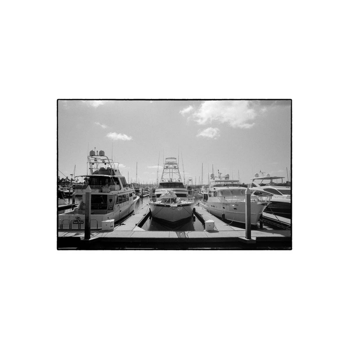 FPP XX 200 ISO, B&W 35mm Film, 24 exp