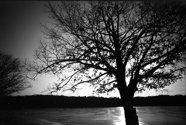 FPP Svema Blue 35mm iso 6 BW Film 24 exp
