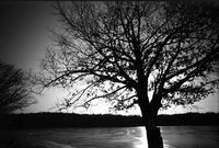 FPP Svema Blue 35mm iso 6 BW Film 24 exp