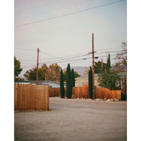 A scenic photograph of a quiet residential street featuring wooden fences, tall dark cypress trees, utility poles with overhead wires, and a light-colored gravel ground under a pale sky.