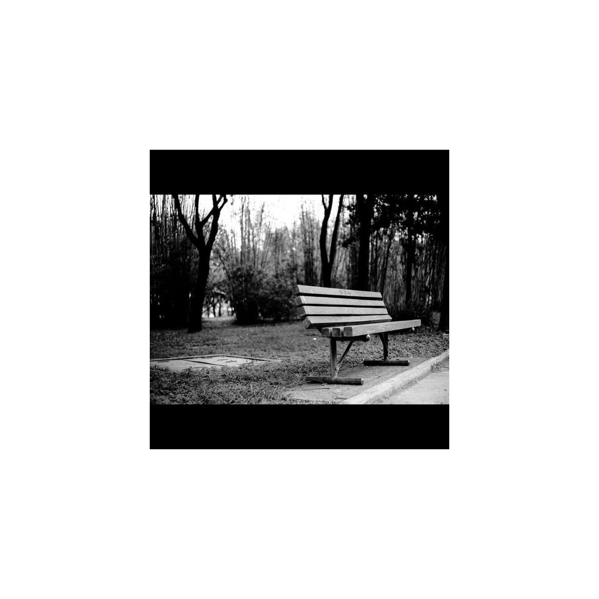 A wooden park bench situated on a paved path in a wooded outdoor setting, shown in black and white.