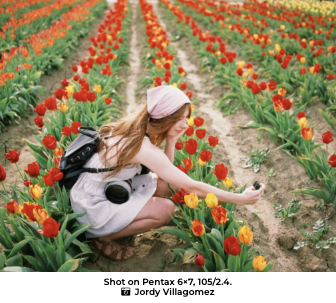 FUJIFILM Provia 100F 120 -Single Roll Professional Color Transparency Film