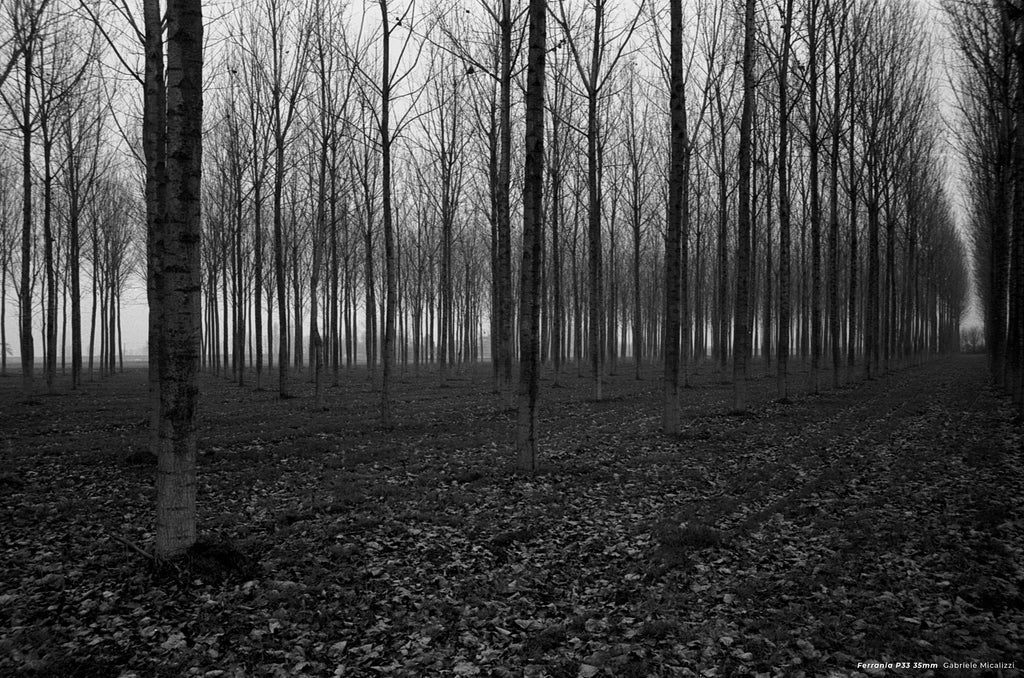 Film Ferrania P33 BW 35mm, 36 exp