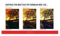 HARMAN technology Red 125 Redscale Color Negative Film (35mm Roll Film, 36 Exposures)