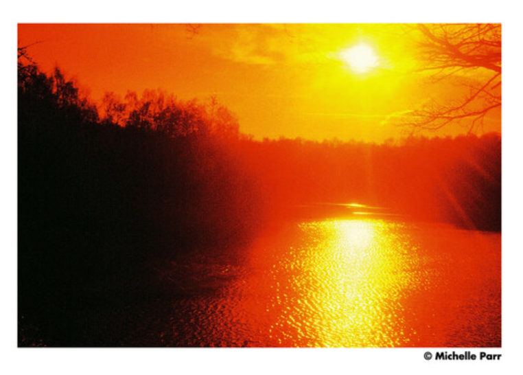 35m Red HARMAN technology Red 125 Redscale Color Negative Film (35mm Roll Film ...