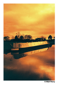 HARMAN technology Red 125 Redscale Color Negative Film (35mm Roll Film, 36 Exposures)
