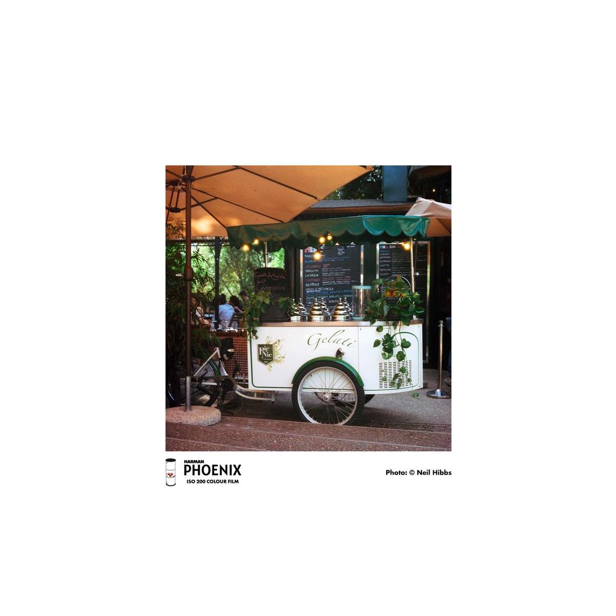 A white gelato cart with green trim and plant illustrations, parked outdoors under a large beige patio umbrella at night. The cart has chalkboard menus on the back and front, and the word 'Gelato' is written on the side.