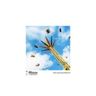 A square photographic print of an amusement park swing ride against a blue sky with clouds, shown centered on a white background with a small PHOENIX logo and photo credit at the bottom.
