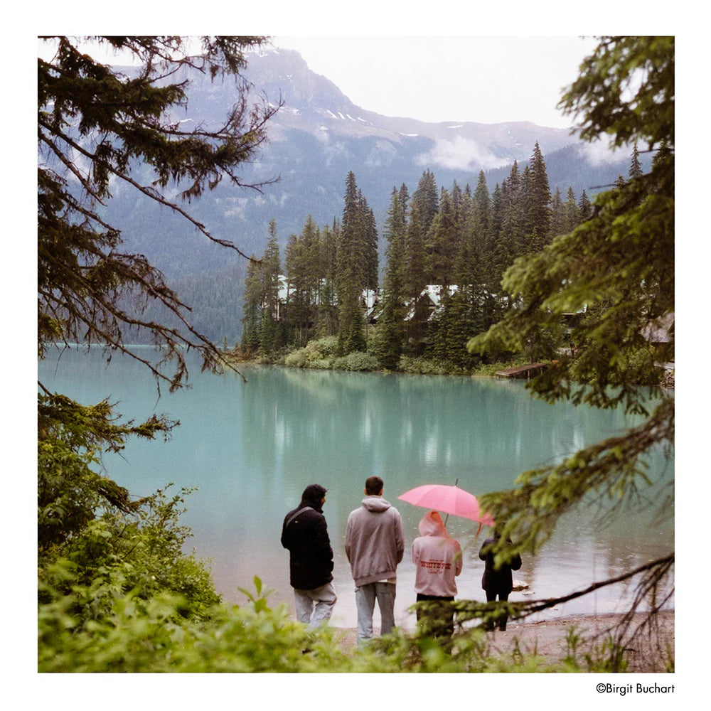 Harman Phoenix II 120 Roll Film