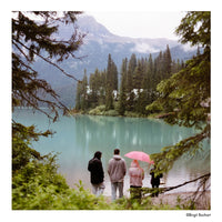 Harman Phoenix II 120 Roll Film