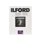 A pack of Ilford B&W (black and white) fine grade photographic paper, featuring a white cover with bold black text, a central black and white sample photograph of a path, and a purple Ilford logo sticker at the bottom.