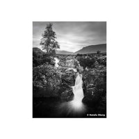 Ilford Ortho Plus 80 ISO, B&W 120 Film, Single Roll
