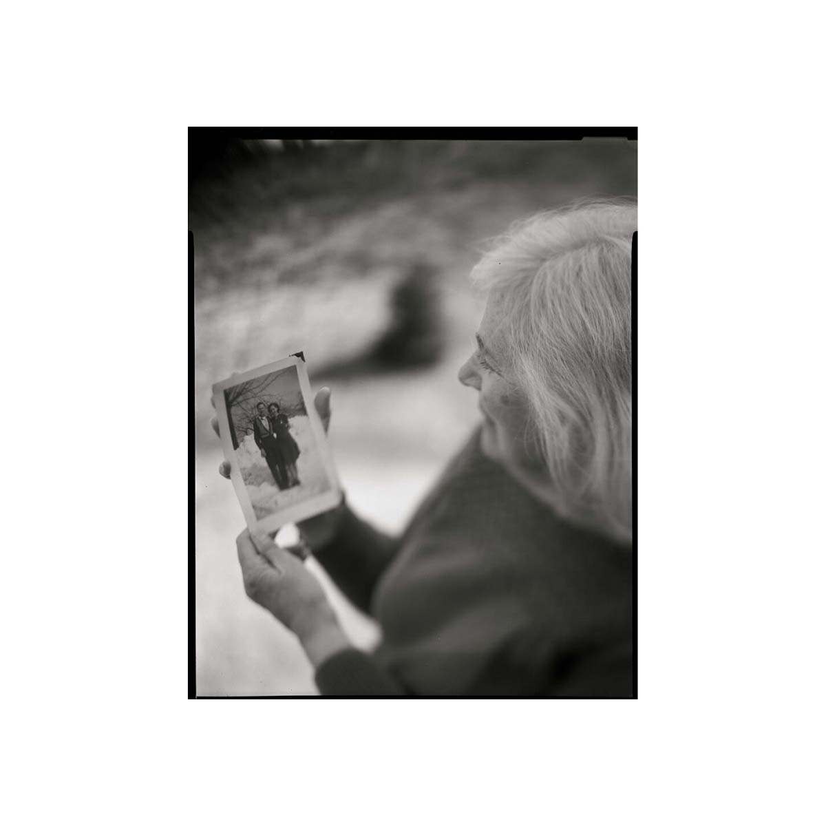 Ilford Pan F Plus 50 ISO, B&W 4x5 Film, 25 exp