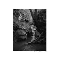 Ilford Pan F Plus 50 ISO, B&W 4x5 Film, 25 exp