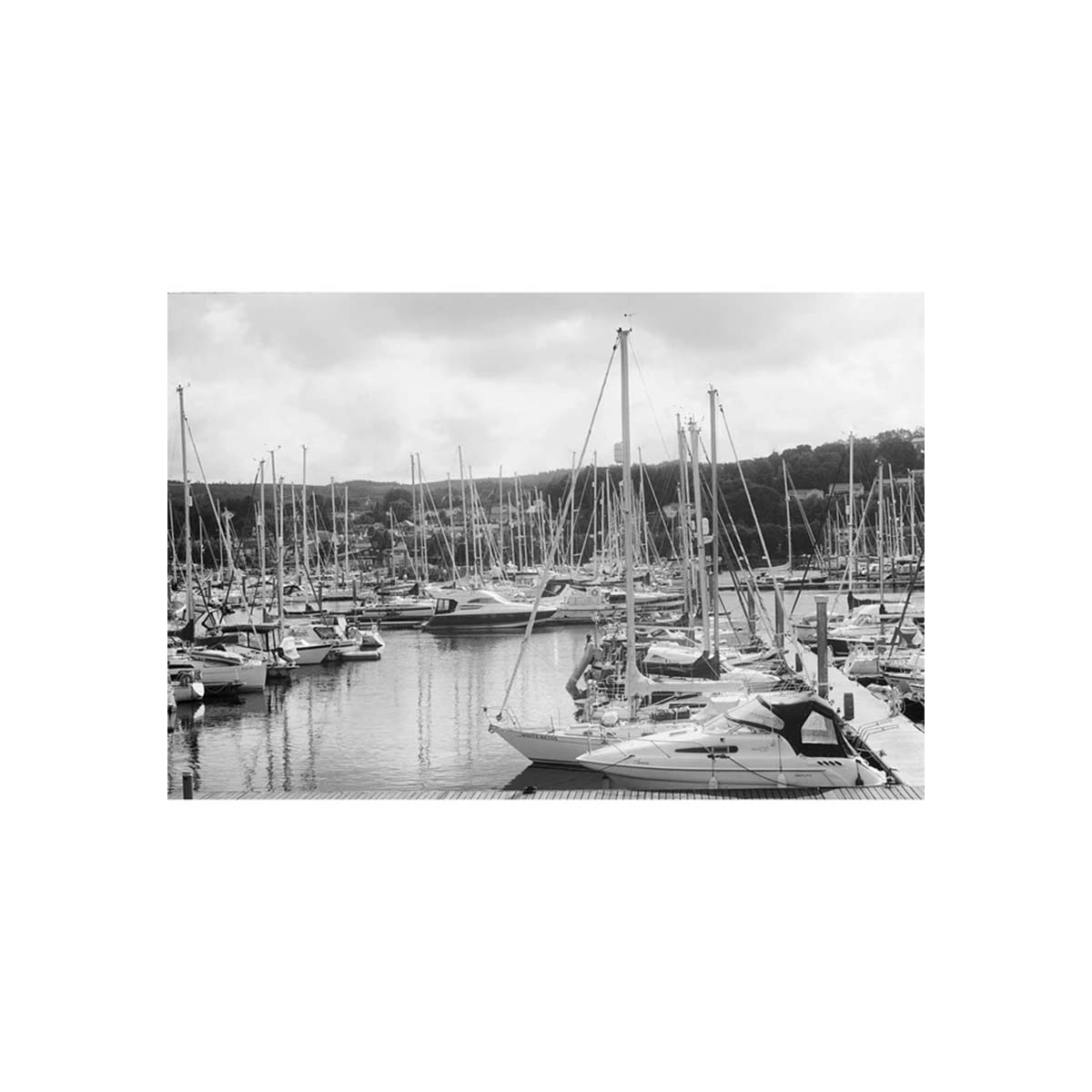 Ilford XP2 Super 400 ISO, B&W 120 Film, Single Roll