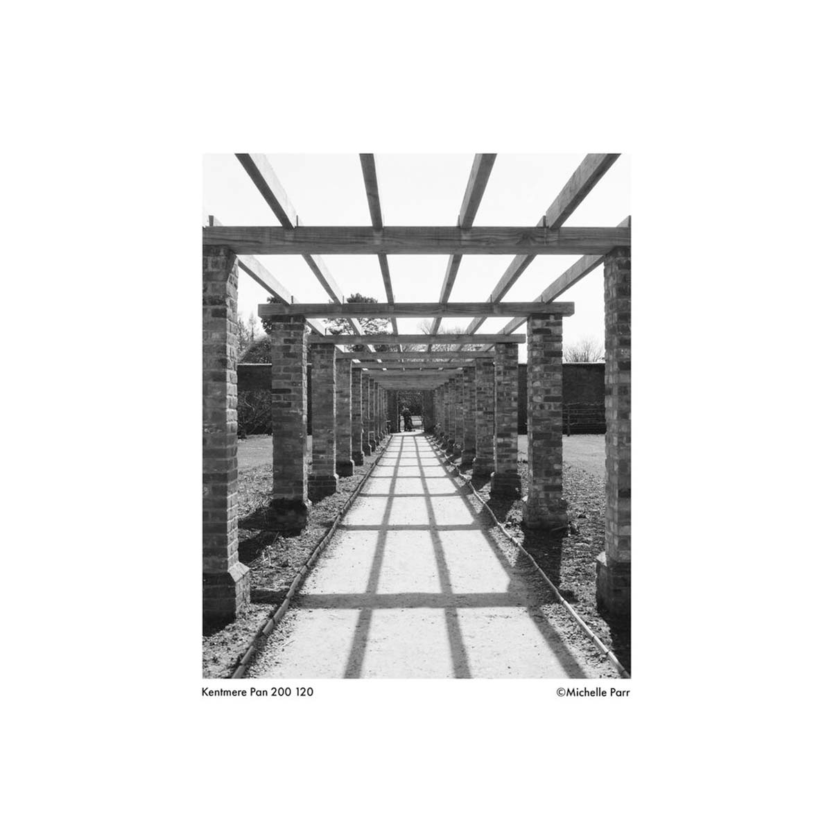 Black and white photograph of a brick pergola walkway, showcasing the fine grain and contrast of Kentmere PAN 200 120 film.